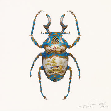 Wonder of the Natural World III